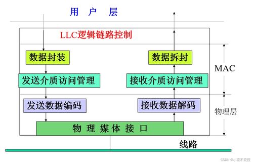 計算機網絡之局域網 構建高效內部通信的關鍵技術